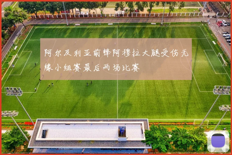 阿尔及利亚前锋阿穆拉大腿受伤无缘小组赛最后两场比赛