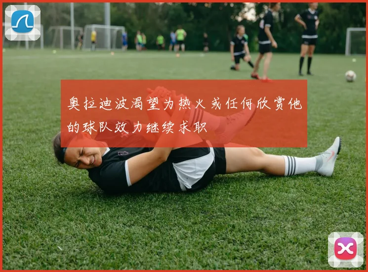 奥拉迪波渴望为热火或任何欣赏他的球队效力继续求职